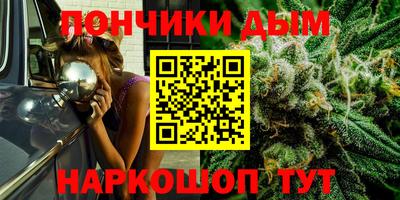 мдпв Лесосибирск