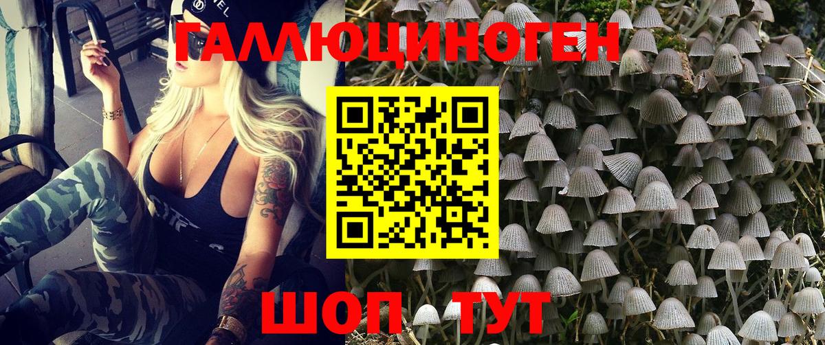 Южноуральск  Галлюциногенные грибы Psilocybine cubensis  Вход с VPN 